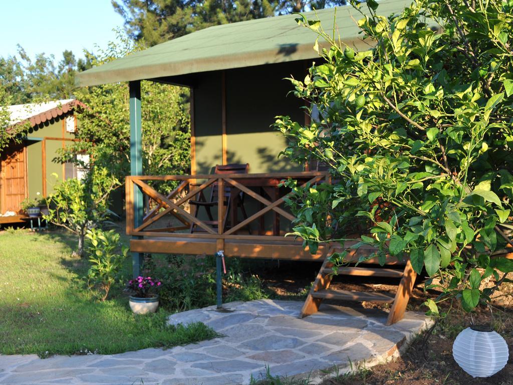 Hobbit Evi Hotel Çıralı Værelse billede