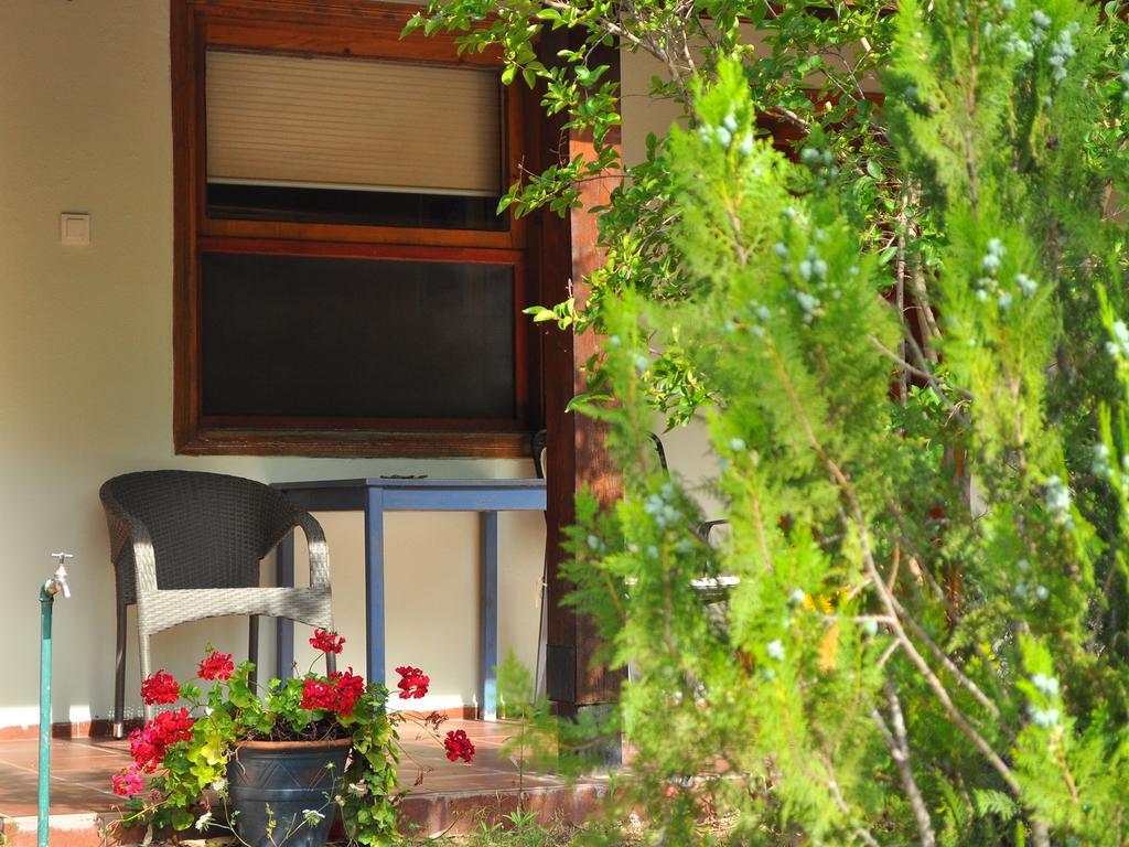 Hobbit Evi Hotel Çıralı Værelse billede